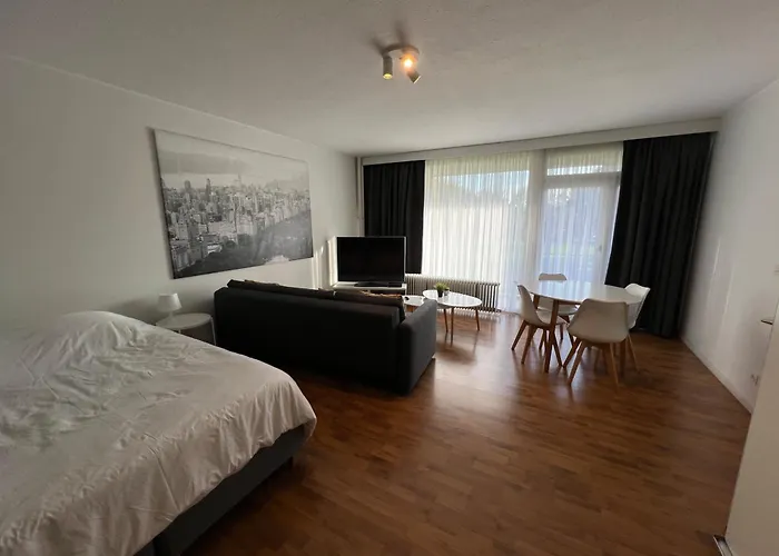 Alexis's Loft 3* Liège